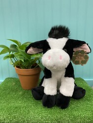 Cow Plush From Rogue River Florist, Grant's Pass Flower Delivery