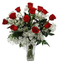 Dozen Long Stem Red Roses From Rogue River Florist, Grant's Pass Flower Delivery