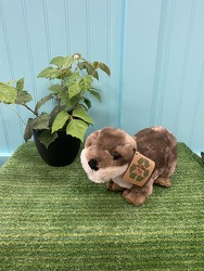 Otter Plush From Rogue River Florist, Grant's Pass Flower Delivery