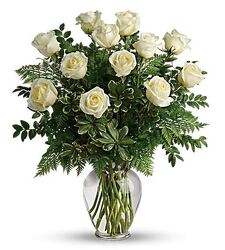Dozen Long Stem White Roses From Rogue River Florist, Grant's Pass Flower Delivery