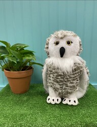 Owl Plush From Rogue River Florist, Grant's Pass Flower Delivery