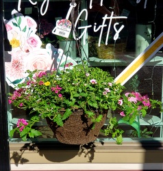 Hanging Blooming Basket From Rogue River Florist, Grant's Pass Flower Delivery