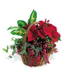 Holiday Planter Basket From Rogue River Florist, Grant's Pass Flower Delivery
