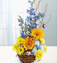 Welcome to the Nest Baby Boy From Rogue River Florist, Grant's Pass Flower Delivery