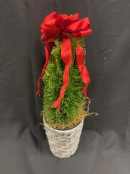 Mini Christmas Tree From Rogue River Florist, Grant's Pass Flower Delivery